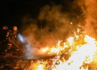 Incendios arrasan más de 20.000 hectáreas en el Tolima, Colombia