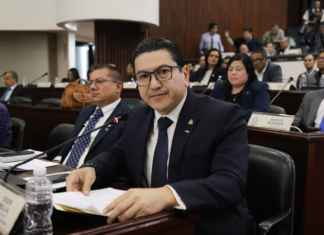 Eder Mejía afirma que existen los votos necesarios para aprobar las reformas al sector energético