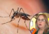 Sesal confirma primera muerte por dengue grave en el Distrito Central