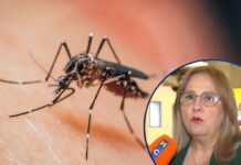 Sesal confirma primera muerte por dengue grave en el Distrito Central