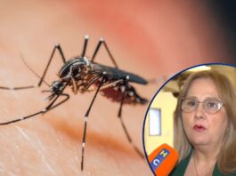 Sesal confirma primera muerte por dengue grave en el Distrito Central