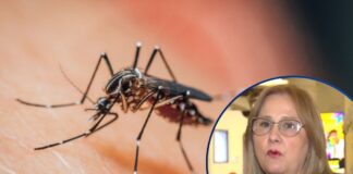 Sesal confirma primera muerte por dengue grave en el Distrito Central