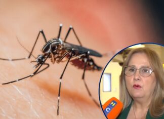 Sesal confirma primera muerte por dengue grave en el Distrito Central