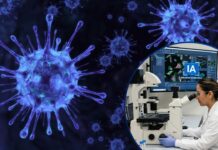 La IA logra diseñar virus inexistentes en la naturaleza y enciende las alertas de la comunidad científica
