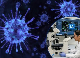La IA logra diseñar virus inexistentes en la naturaleza y enciende las alertas de la comunidad científica