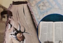 Bala quedó incrustada en la Biblia que portaba pastor asesinado en Catacamas