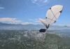 ¡Como un ave marina! Crean un robot que vuela, nada y emerge del agua sin perder el vuelo