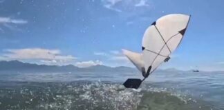 ¡Como un ave marina! Crean un robot que vuela, nada y emerge del agua sin perder el vuelo