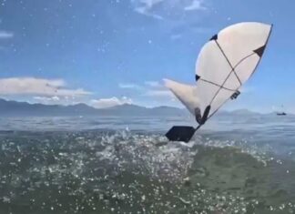 ¡Como un ave marina! Crean un robot que vuela, nada y emerge del agua sin perder el vuelo