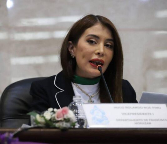 Iroska Elvir cuestiona sanción contra Salvador Nasralla y denuncia presunta persecución política
