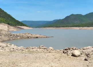 Los Laureles mejora su nivel, pero La Concepción continúa en estado crítico