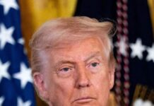Trump y sus asesores habrían ayudado a Flávio Bolsonaro a llegar a Estados Unidos