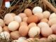 Gobierno de Honduras investiga aumentos en el precio de los huevos y advierte fuertes sanciones
